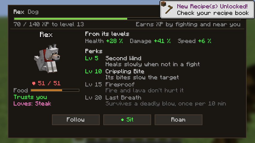 The pet menu of a level 12 dog