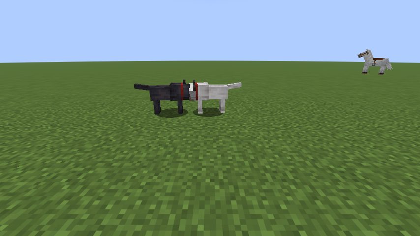 Two dogs saying hello